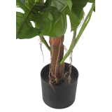 Pot