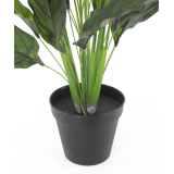 Pot