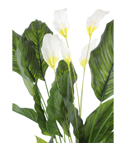 Grand spathiphyllum artificiel