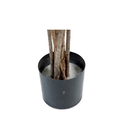 Pot