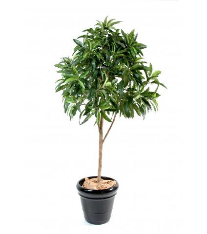 Manguier artificiel