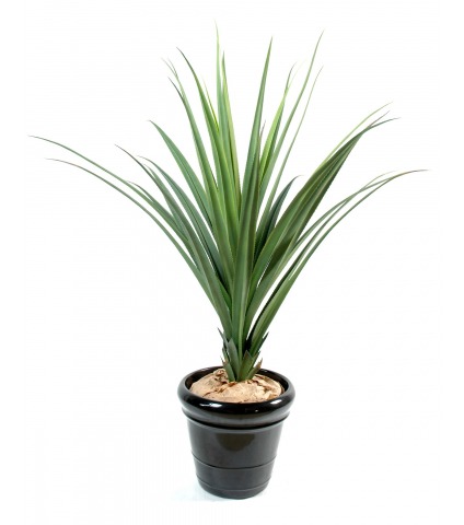 Pandanus artificiel
