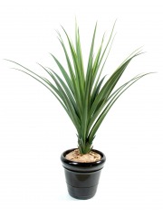 Pandanus artificiel