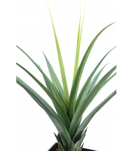 Pandanus artificiel
