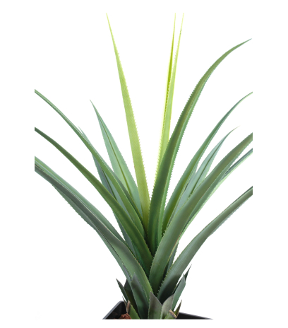 Pandanus artificiel