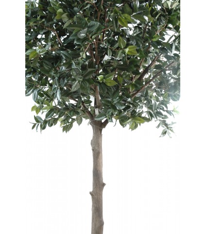 Camélia artificiel géant