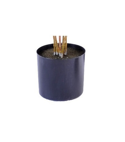 Pot