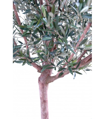 Olivier large artificiel