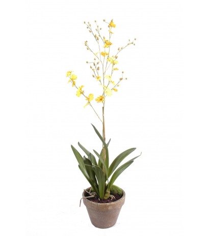 Orchidée artificielle fleurie en pot