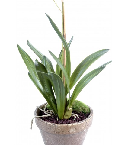 Orchidée artificielle fleurie en pot
