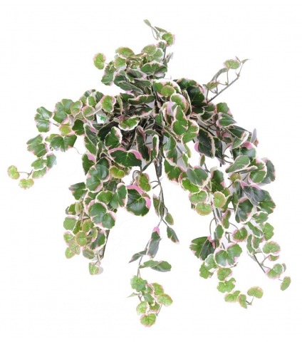 Chute de polyscias artificielle