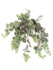 Chute de polyscias artificielle