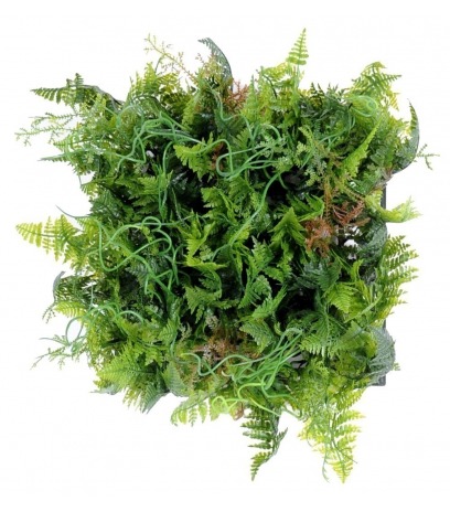 Base végétale en plaque