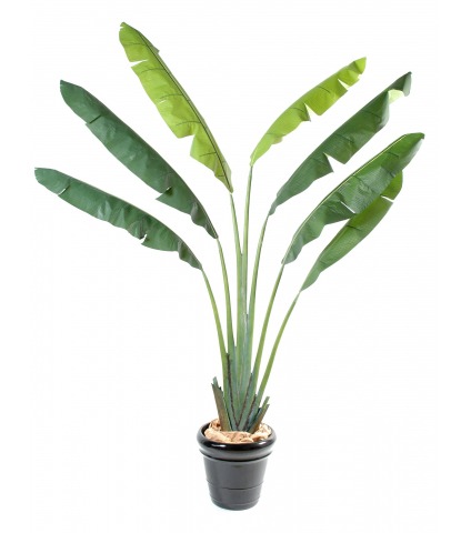 Arbre du voyageur artificiel