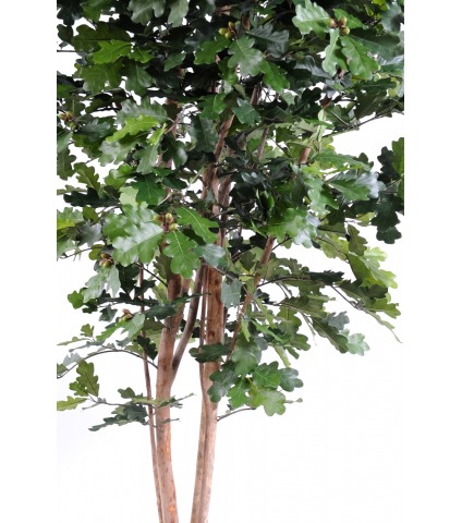 Chêne artificiel longiforme