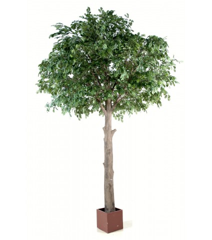 Chêne artificiel géant