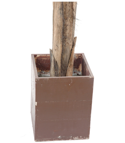 Pot