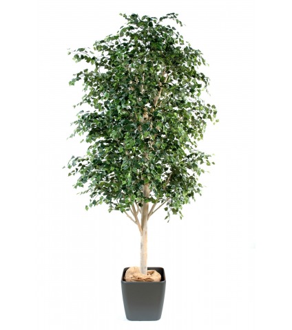 Bouleau artificiel géant