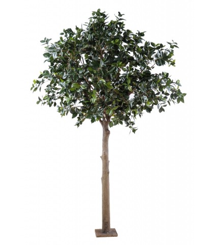 Camélia artificiel géant