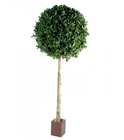 Laurier artificiel géant