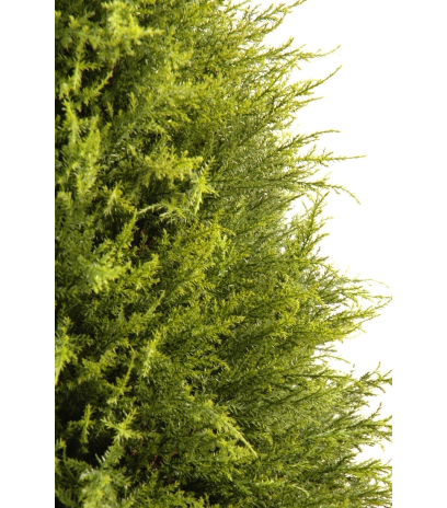 Cyprès artificiel juniperus