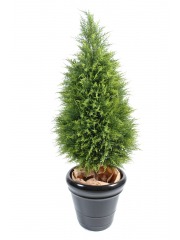 Cyprès artificiel juniperus
