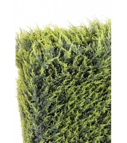 Haie artificielle de cyprès