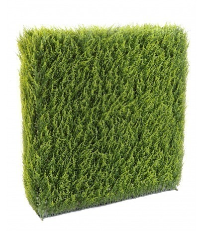 Haie artificielle de cyprès