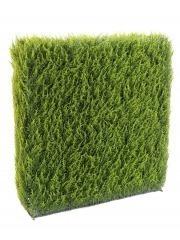 Haie artificielle de cyprès