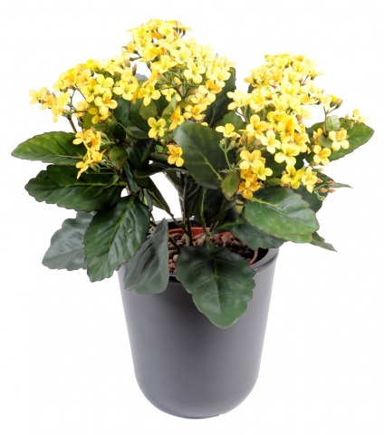 Kalanchoe artificiel jaune