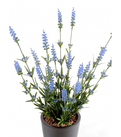 Lavande artificielle