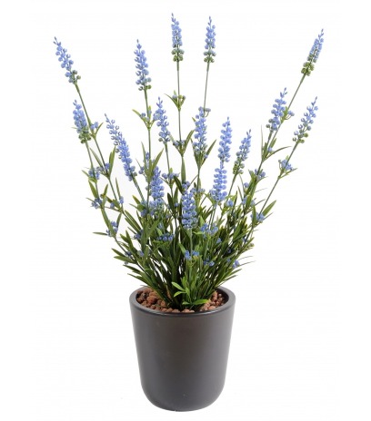 Lavande artificielle