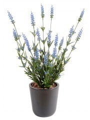 Lavande artificielle