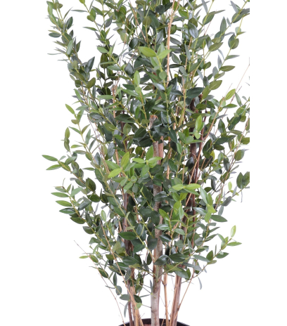 Eucalyptus artificiel arbuste