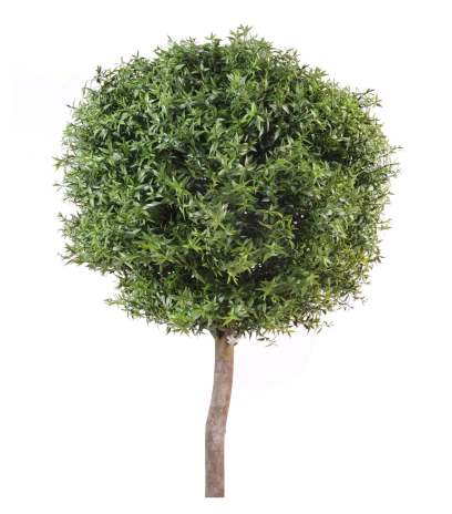 Eucalyptus artificiel sur tige