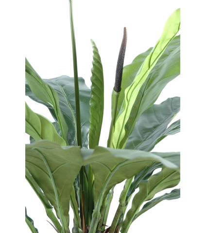 Fougère artificielle anthurium