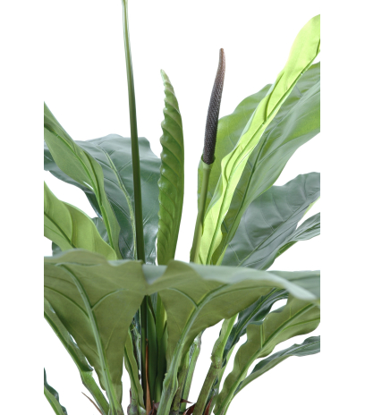 Fougère artificielle anthurium