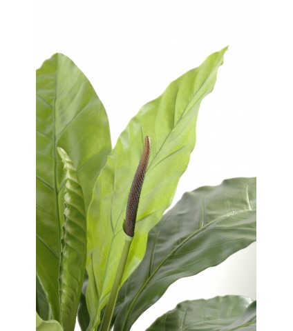 Fougère artificielle anthurium