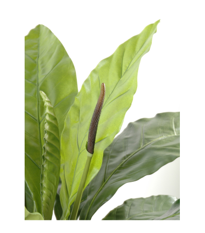 Fougère artificielle anthurium