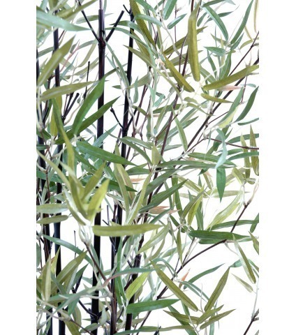 Faux bambou noir