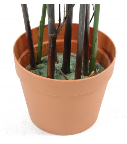 Pot