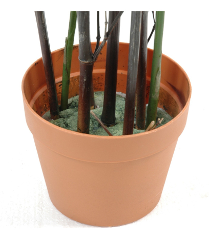 Pot
