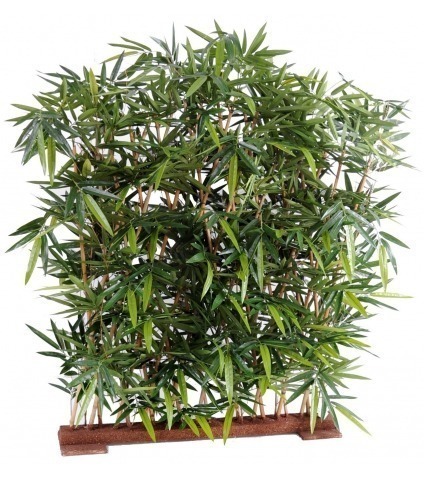 Fausse haie de bambous