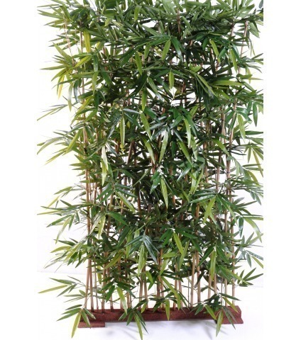 Séparation de bambous