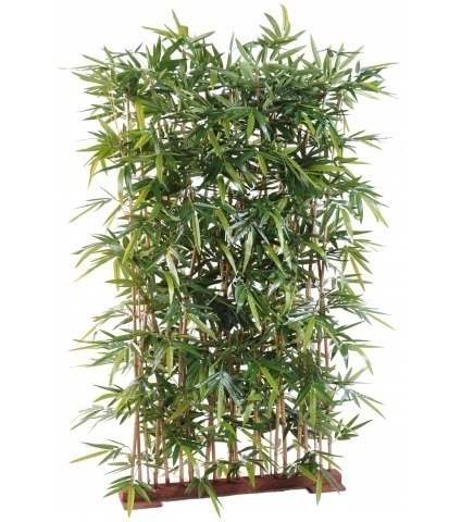 Séparation de bambous