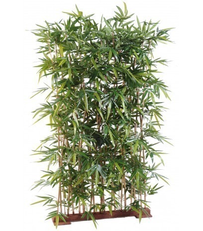 Séparation de bambous