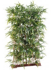 Séparation de bambous