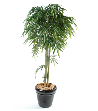 Bambou artificiel exotique 