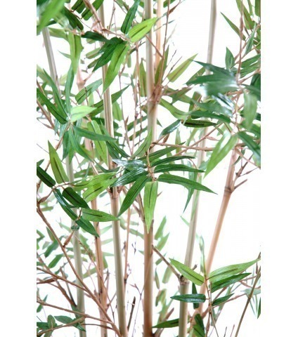 Bambou artificiel fargesia