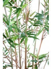 Bambou artificiel fargesia